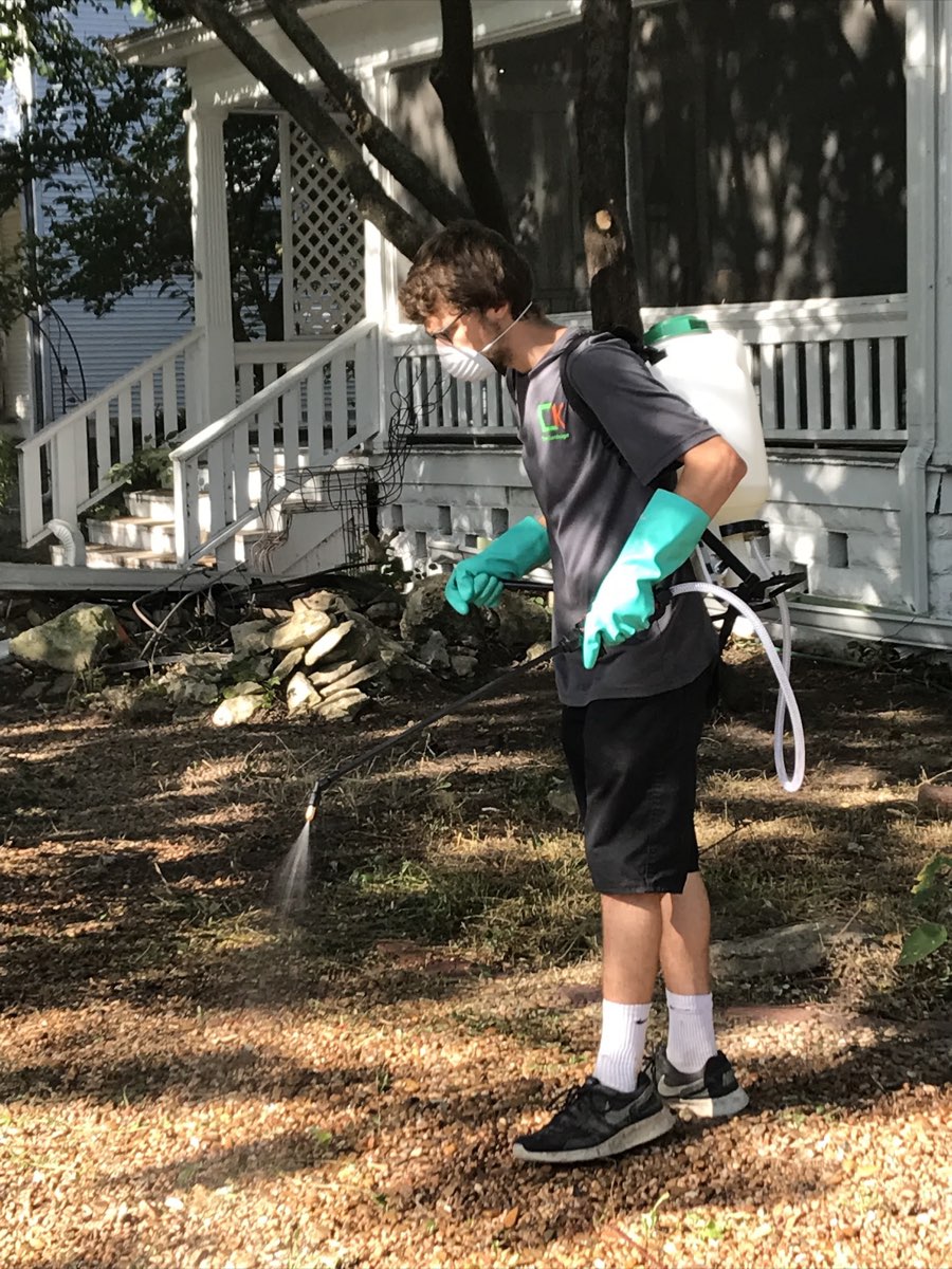 Tall tree being taken down by C.K. Tree Service in Wichita, KS
